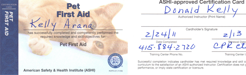 Klub K9 CPR Certificate